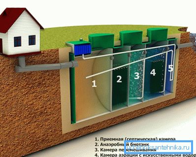 Biologisen aseman toiminnan periaate
