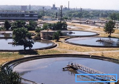 Altaat - jätevedenpuhdistamoiden siemenet. Altaat - jätevedenpuhdistamoiden siemenet.