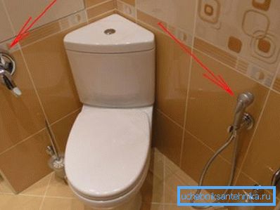 Hygieninen sielu.