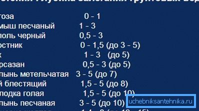 Syvyys joidenkin kasvien läsnä ollessa. Syvyys joidenkin kasvien läsnä ollessa.