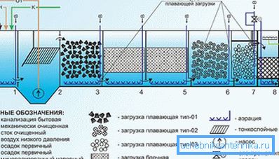 1183 Syvä biologinen puhdistus