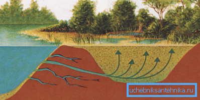 Tämä quicksand lähellä lampia. Tämä quicksand lähellä lampia.