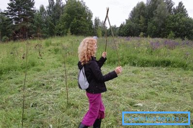 Veden etsiminen pajuun Veden etsiminen pajuun