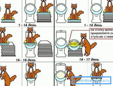 Korjausopas kuvissa Korjausopas kuvissa