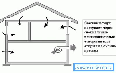Pakollinen tyyppi maalaistalossa kellarissa