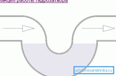 Kaavamainen esitys sifonin periaatteesta Kaavamainen esitys sifonin periaatteesta