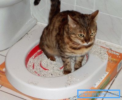 Lokeron sisällön täytyy olla jonnekin, eikä wc aina ole paras valinta. Lokeron sisällön täytyy olla jonnekin, eikä wc aina ole paras valinta.