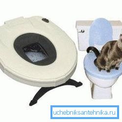 Erityinen WC-istuin Erityinen WC-istuin