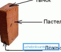 Tiilipuolet Tiilipuolet