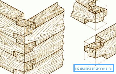 Kulmaliitos käpälässä Kulmaliitos käpälässä