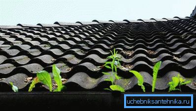 Roottoriin on kerääntynyt likaa