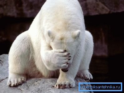 Uskotko todella, että rikottaisiin energiaa säätelevää lakia?